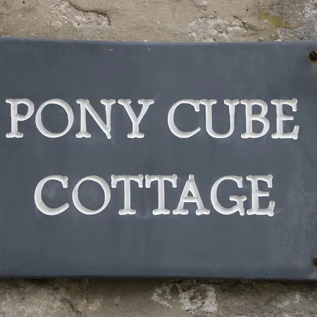 Pony Cube *